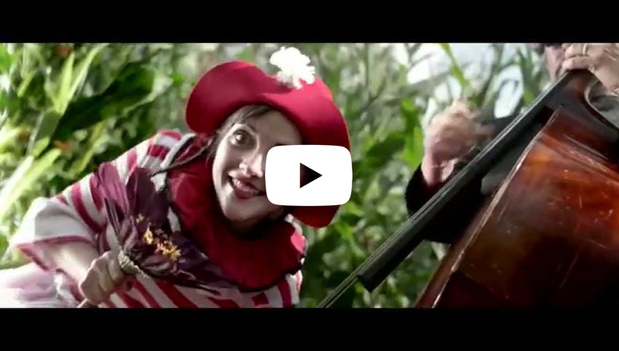 Video abspielen